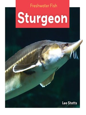 cover image of Sturgeon